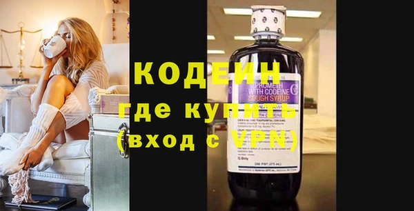 ГАЛЛЮЦИНОГЕННЫЕ ГРИБЫ Вяземский
