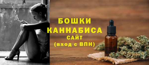 ГАЛЛЮЦИНОГЕННЫЕ ГРИБЫ Вяземский
