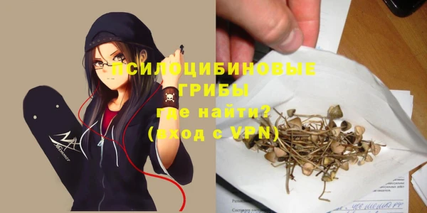 ГАЛЛЮЦИНОГЕННЫЕ ГРИБЫ Вяземский