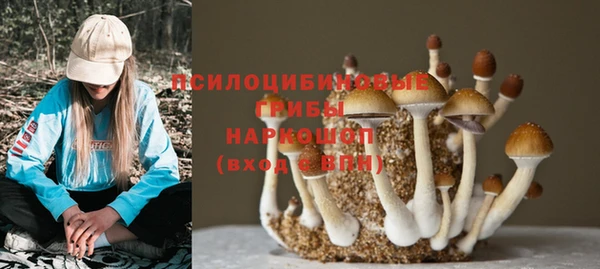 ГАЛЛЮЦИНОГЕННЫЕ ГРИБЫ Вяземский