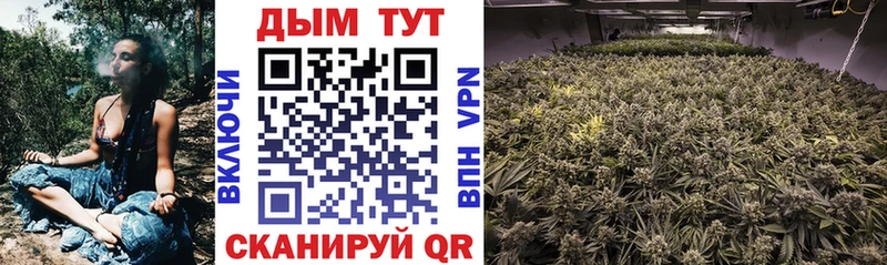 Шишки марихуана Bruce Banner  Черепаново 